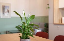 Apartament modern, 47mp, 2 camere, zona Tauti