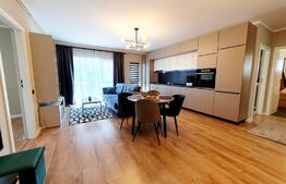 Apartament 3 camere, 70mp, mobilat utilat, terasa, zona Teilor