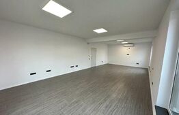 Cladire de birouri, 250 mp, curte de 750 mp, zona Traian Vuia