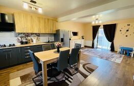 Duplex, 4 camere, 110mp, modern, petfriendly, gradina, zona Gilau 