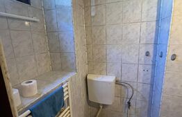 Garsoniera 16 mp, zona Horea 