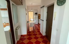 Apartament 2 camere, 60mp, pet friendly, zona Casa Vikingilor