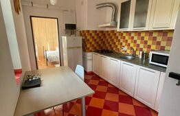 Apartament 2 camere, 60mp, pet friendly, zona Casa Vikingilor