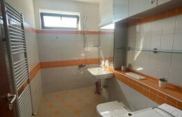 Apartament 2 camere, 60mp, pet friendly, zona Casa Vikingilor