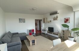 Apartament 2 camere, 60mp, pet friendly, zona Casa Vikingilor