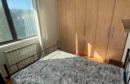 Apartament 2 camere, 60mp, pet friendly, zona Casa Vikingilor
