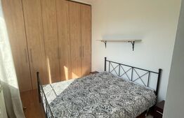 Apartament 2 camere, 60mp, pet friendly, zona Casa Vikingilor
