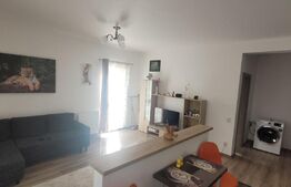 Apartament 2 camere, Catanelor