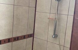 Garsoniera, 30 mp, renovată recent, zona strazii Dambovitei