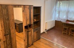 Garsoniera, 30 mp, renovată recent, zona strazii Dambovitei