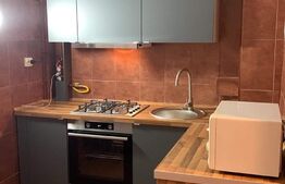 Garsoniera, 30 mp, renovată recent, zona strazii Dambovitei