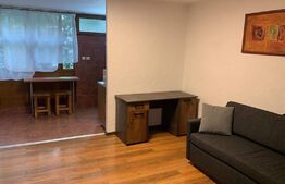 Garsoniera, 30 mp, renovată recent, zona strazii Dambovitei