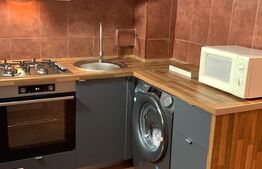 Garsoniera, 30 mp, renovată recent, zona strazii Dambovitei