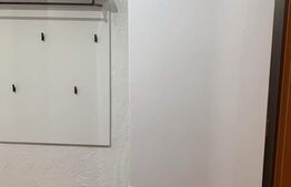 Garsoniera, 30 mp, renovată recent, zona strazii Dambovitei