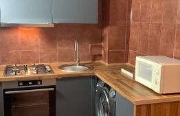 Garsoniera, 30 mp, renovată recent, zona strazii Dambovitei