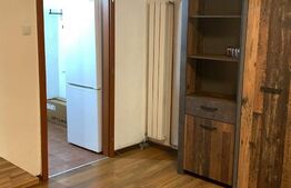 Garsoniera, 30 mp, renovată recent, zona strazii Dambovitei