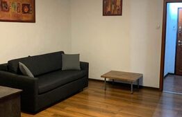 Garsoniera, 30 mp, renovată recent, zona strazii Dambovitei