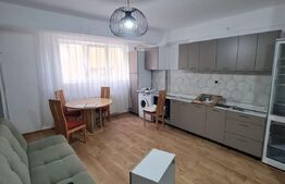 Apartament mobilat si utilat, 2 camere, 41mp, complet renovat, totul nou, etaj intermediar, zona Stejarului