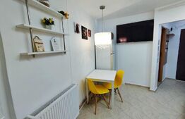 Apartament o camera, 28 mp, renovat , zona Pritax 