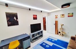 Apartament o camera, 28 mp, renovat , zona Pritax 