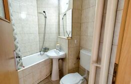 Apartament o camera, 28 mp, renovat , zona Pritax 