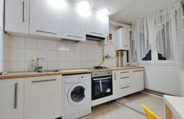 Apartament o camera, 28 mp, renovat , zona Pritax 