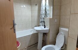 Apartament o camera, 28 mp, renovat , zona Pritax 