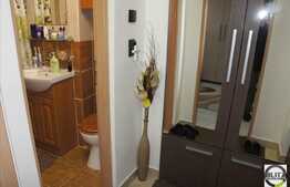 1 camera, 30 mp, zona strazii Cernei, mobilat modern, cu boxa si parcare!