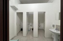 Spatiu birouri/showroom, 243 mp, cladire istorica, zona Ultracentrala