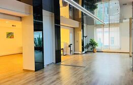 Spatiu birouri/showroom, 243 mp, cladire istorica, zona Ultracentrala