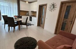 Apartament 2 camere, imobil nou, 40 mp, parcare, Valea Chintaului