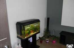 2 camere, 54 mp, decomandat, parcare, zona strazii Jupiter!