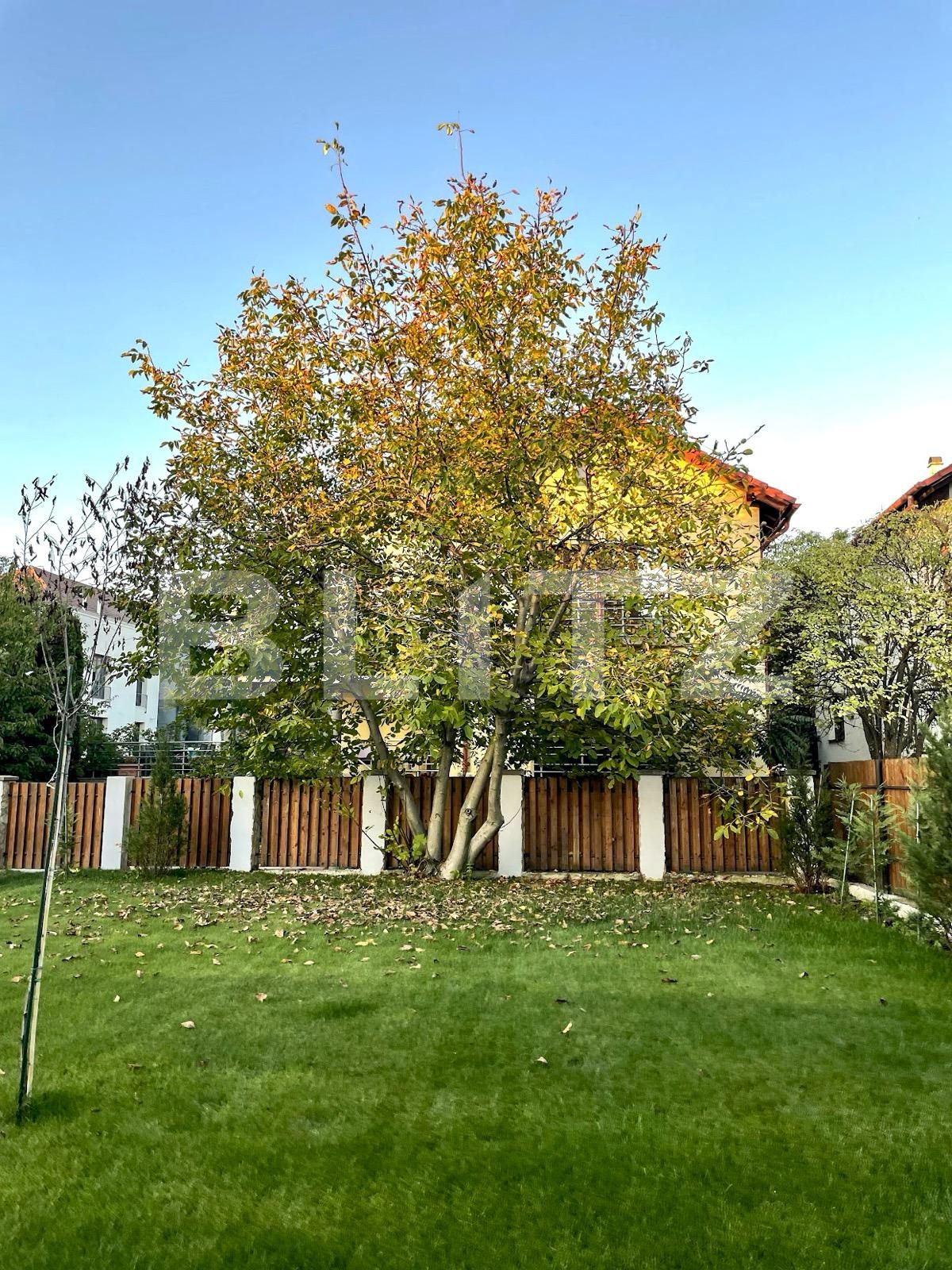 Apartament de închiriat 2 camere Central - 127412AI | BLITZ Cluj-Napoca | Poza12