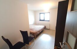 Casa individuala Dezmir 4 camere, 120mp utili, 60mp demisol, teren 300mp, mobilata