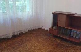 Apartament 2 camere, 50mp, zona Zizinului