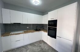 Casa individuala 4 camere, 155 mp, 355 mp teren, pet friendly, zona Aerodromul Dezmir