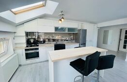 Apartament 2 camere, 60mp, modern, AC, zona Florilor 