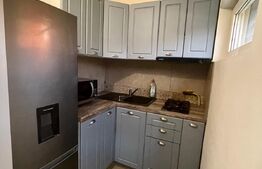 Garsoniera 25mp, pet friendly, zona strazii Cernei