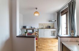 Amortizare rapida a sumei investite! Casa cu 11 camere in zona Eugen Ionesco