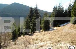 Proiect de 5* la Belis, PUD aprobat