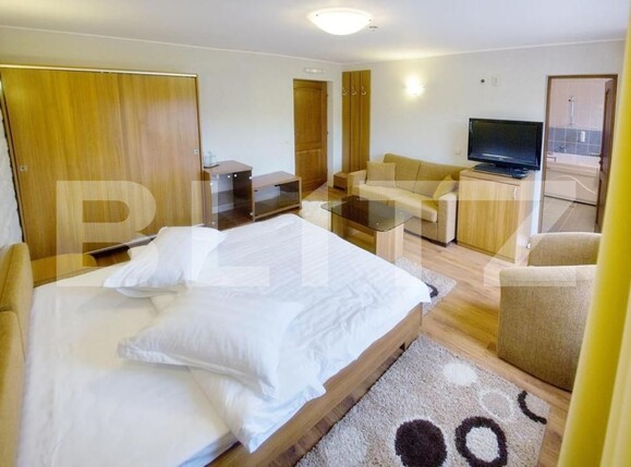 Spațiu comercial de vânzare Fundata - 127801SVC | BLITZ Brașov | Poza15