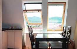 Apartament 2 camere,  53 mp utili, zona strazii Somesului!