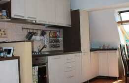 Apartament 2 camere,  53 mp utili, zona strazii Somesului!