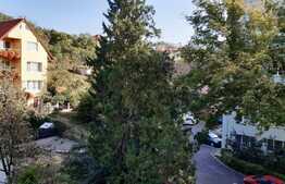 Oportunitate! Apartament 3 camere decomandat,  65 mp utili, parcare, pet friendly, zona strazii Donath. Disponibil cu 1 Iunie