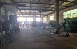 Spatiu Industrial 1050 mp hala, 7884 mp teren, zona Bartolomeu