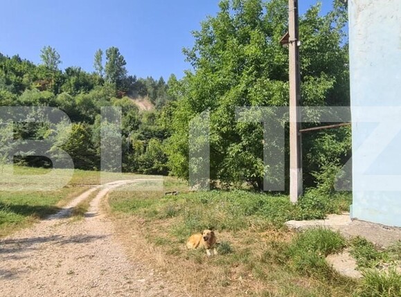 Spațiu industrial de vânzare Bartolomeu - 127903SVI | BLITZ Brașov | Poza6