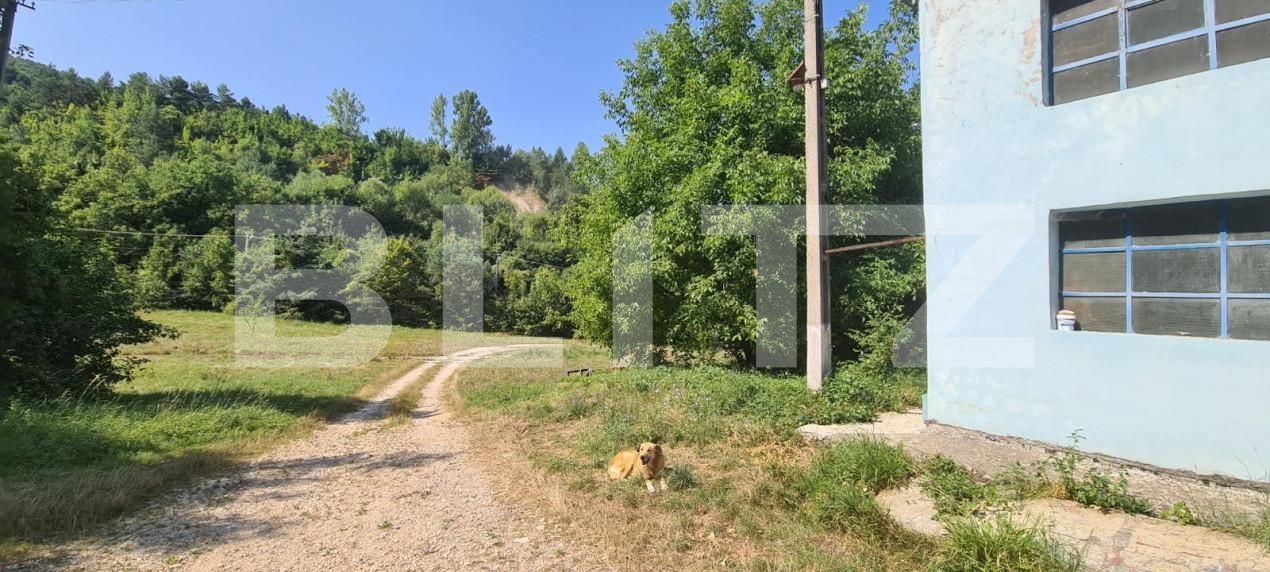 Spațiu industrial de vânzare Bartolomeu - 127903SVI | BLITZ Brașov | Poza6