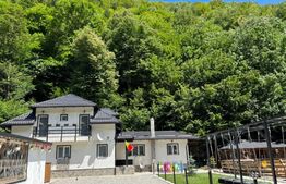 Casa de 6 camere, 240 mp, teren 2100 mp, zona Plaiul Foii 