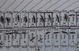Teren la limita intravilanului Baciu, 3 HA, 54 ml front, asfalt si utilitati
