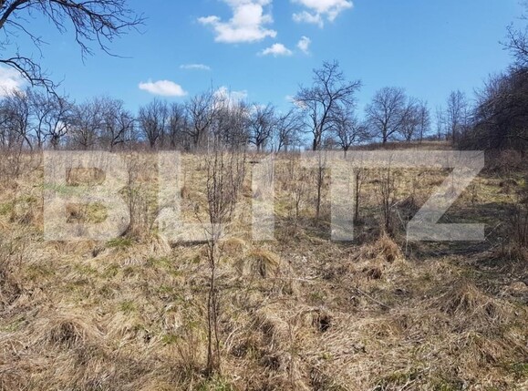 Teren de vânzare Exterior Vest - 127959TV | BLITZ Cluj-Napoca | Poza1